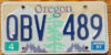 1991 Oregon Dead tree variety vg-