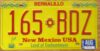 1993 New Mexico exc-