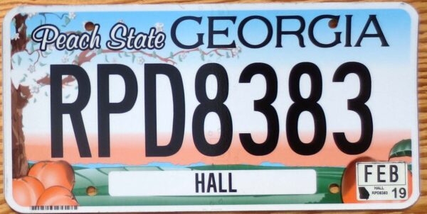 2019 Georgia colorful base mint NICE PLATE