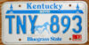 1994 Kentucky nearly mint - NICE PLATE