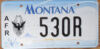 Montana Air Force Reserve vg+