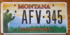 Montana - Yellowstone National Park mint