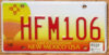 2006 New Mexico balloon vg