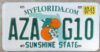 2013 Florida mint NICE PLATE