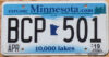 2019 Minnesota vg