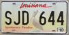 2010 Louisiana Pelican vg
