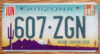 2008 Arizona vg-