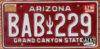 1996 Arizona gvg