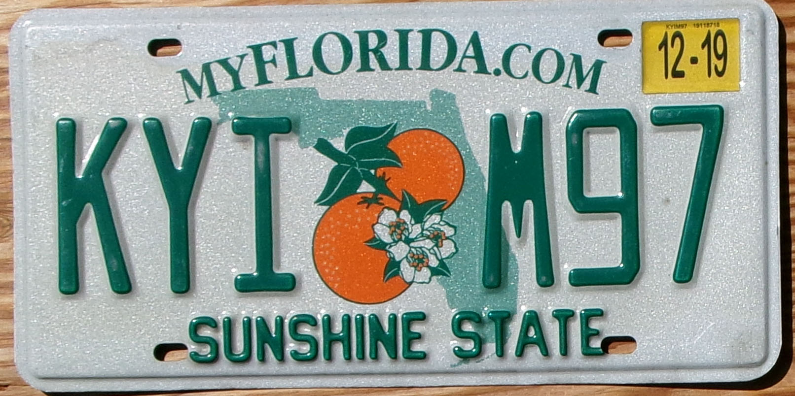2019 Florida vg