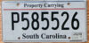 2017 South Carolina "property carrying" vg