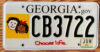2010 Georgia Choose Life vg-