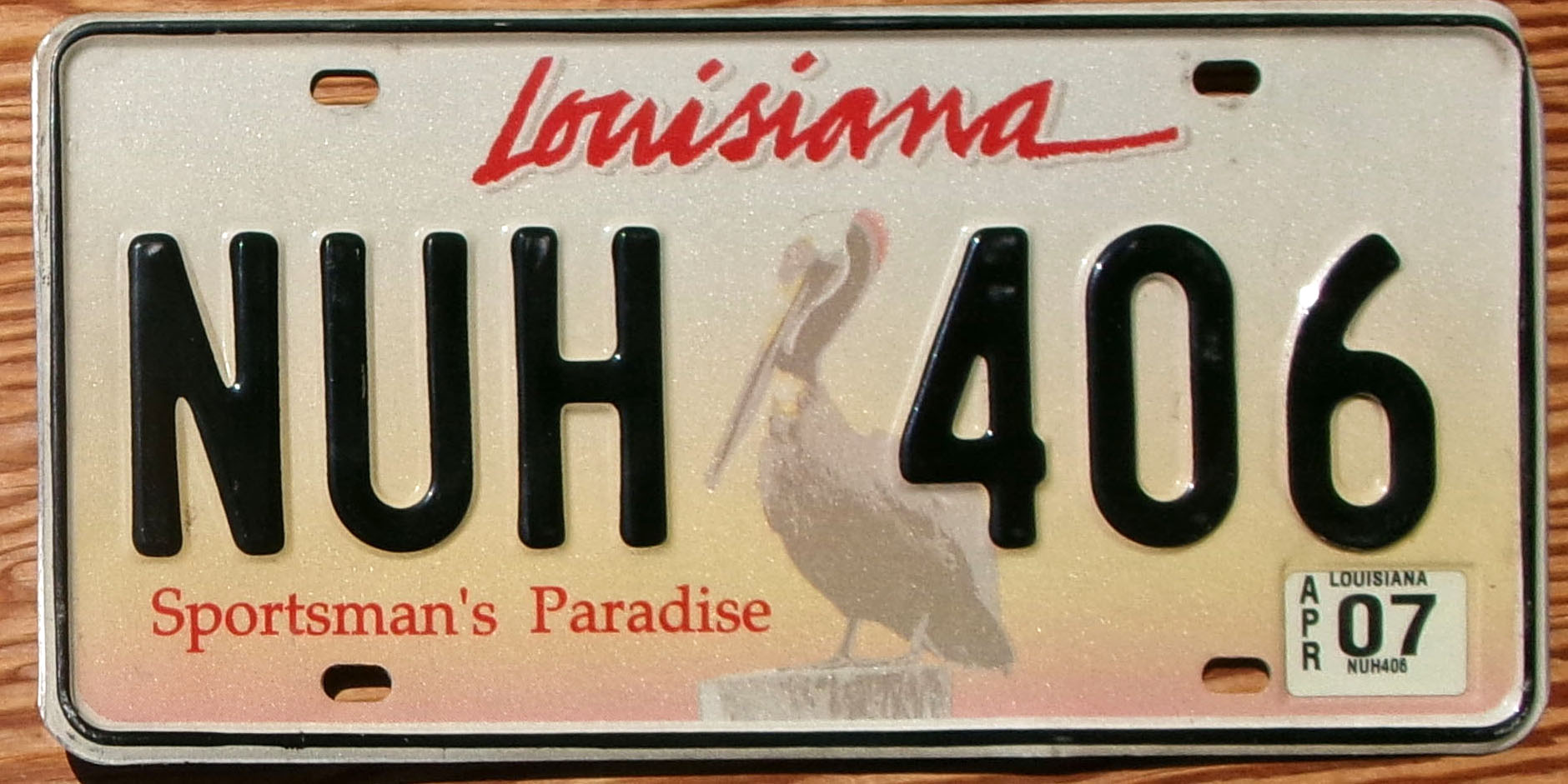 2007 Louisiana Pelican vg+