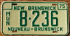 1975 New Brunswick municipal government mint