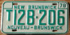 1978 New Brunswick Trailer mint