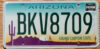 Arizona permanent vg