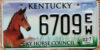 2007 Kentucky Horse Council exc-