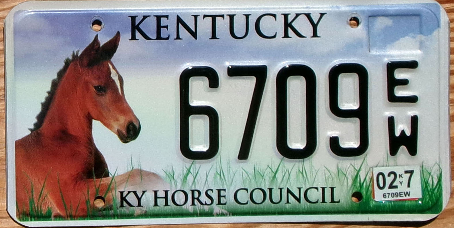 2007 Kentucky Horse Council exc-