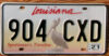 2021 Louisiana Pelican vg