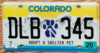 2020 Colorado Adopt a Shelter Pet vg