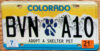 2021 Colorado Adopt a Shelter Pet vg-