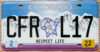 2022 Colorado Respect Life vg