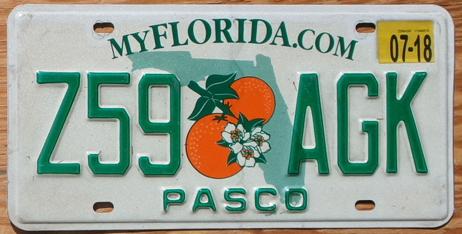 2018 Florida vg+
