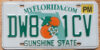 Florida permanent vg
