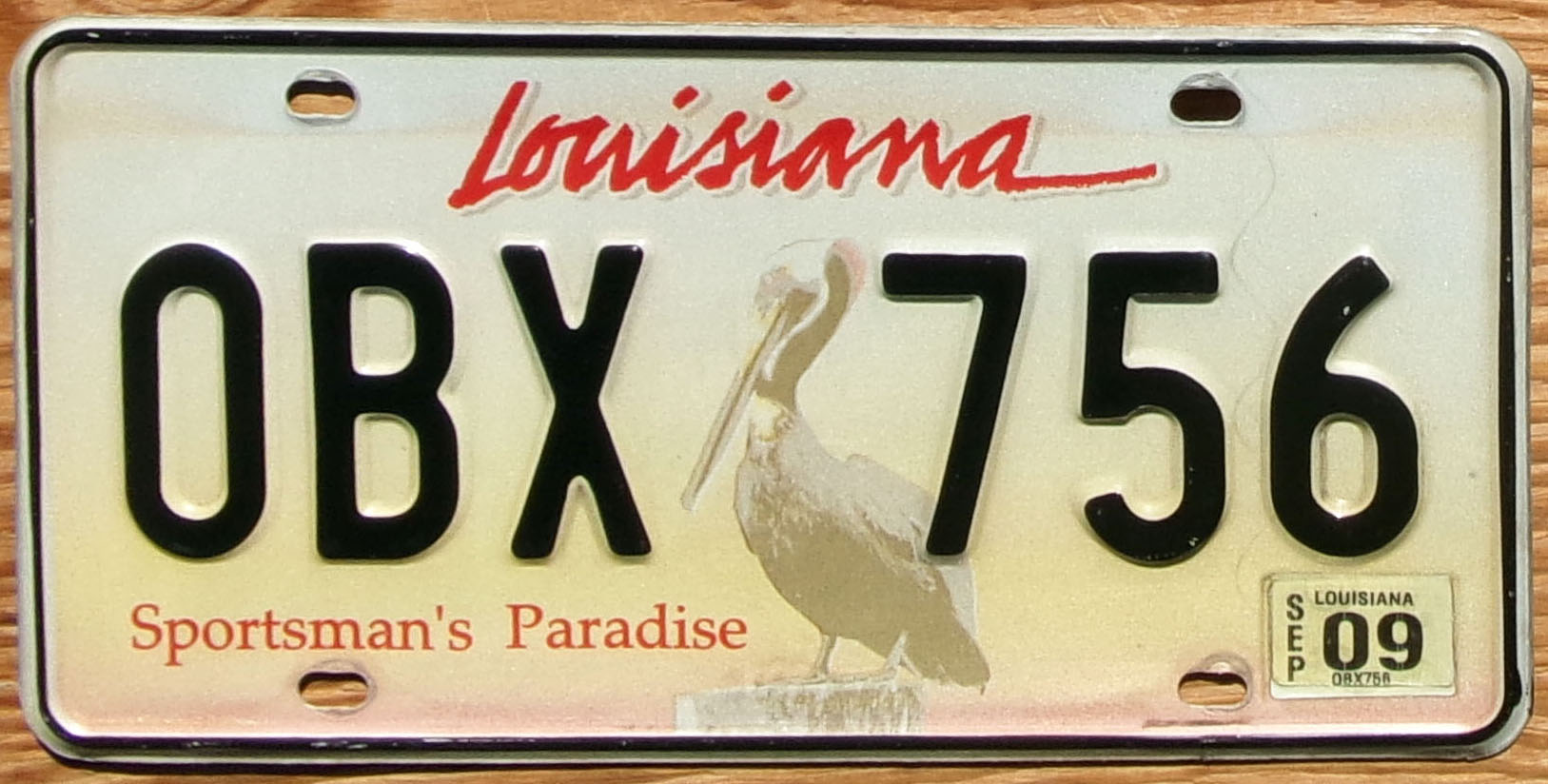 2009 Louisiana Pelican vg