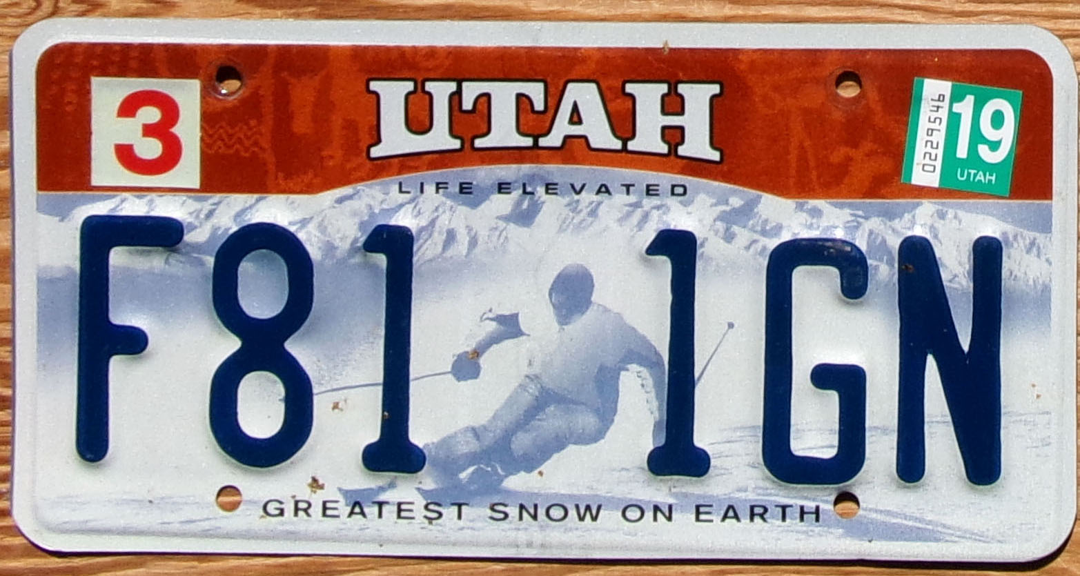2019 Utah skier vg+