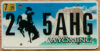 2006 Wyoming vg-